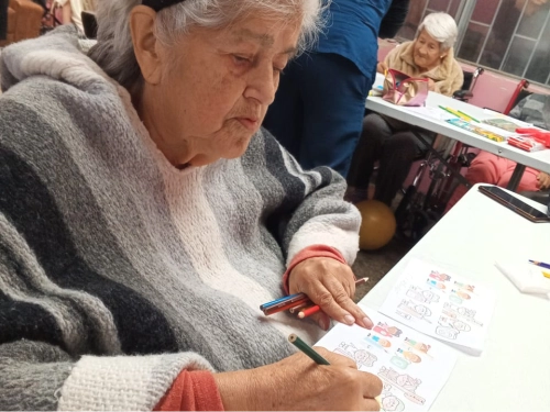 hogar larga estadia para adultos mayores